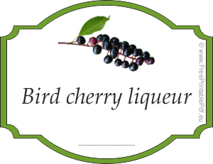 How to make labels for bird cherry liqueur