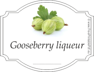 Homemade gooseberry liqueur