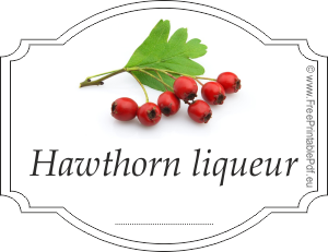 Homemade hawthorn liqueur