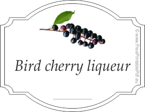 Homemade bird cherry liqueur