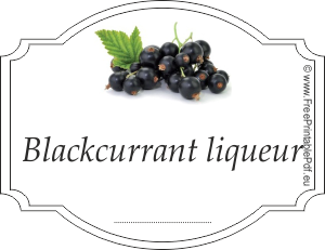 Homemade blackcurrant liqueur