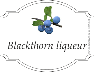 Homemade blackthorn liqueur