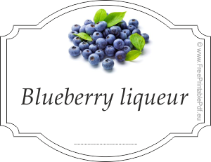 Homemade blueberry liqueur