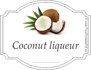 Homemade coconut liqueur