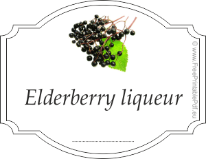 Homemade elderberry liqueur
